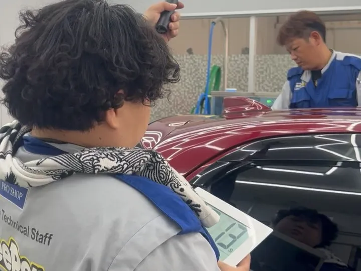 洗車とコツを知り愛知県知多郡武豊町で愛車を守る純水手洗い洗車活用法